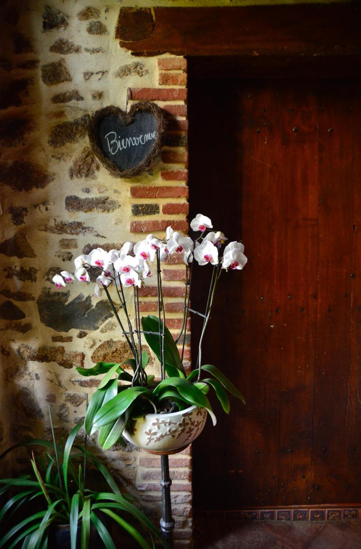 Bed and Breakfast La Frapperie La Pommeraie-sur-Sèvre Exterior foto